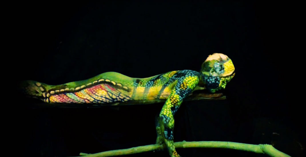 10-court-metrage-cameleon