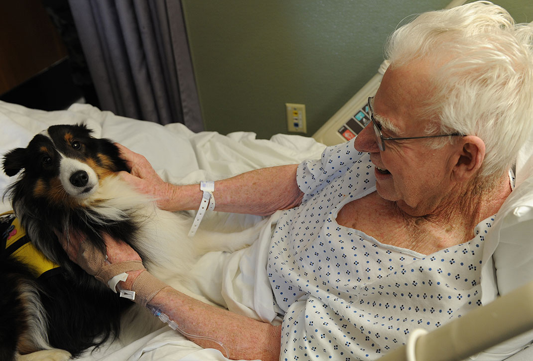 10-dogtherapie-wiki