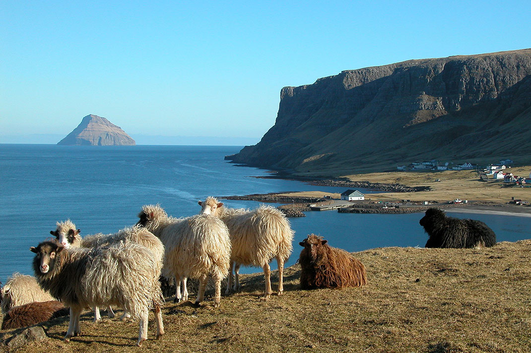 10-ile-feroe