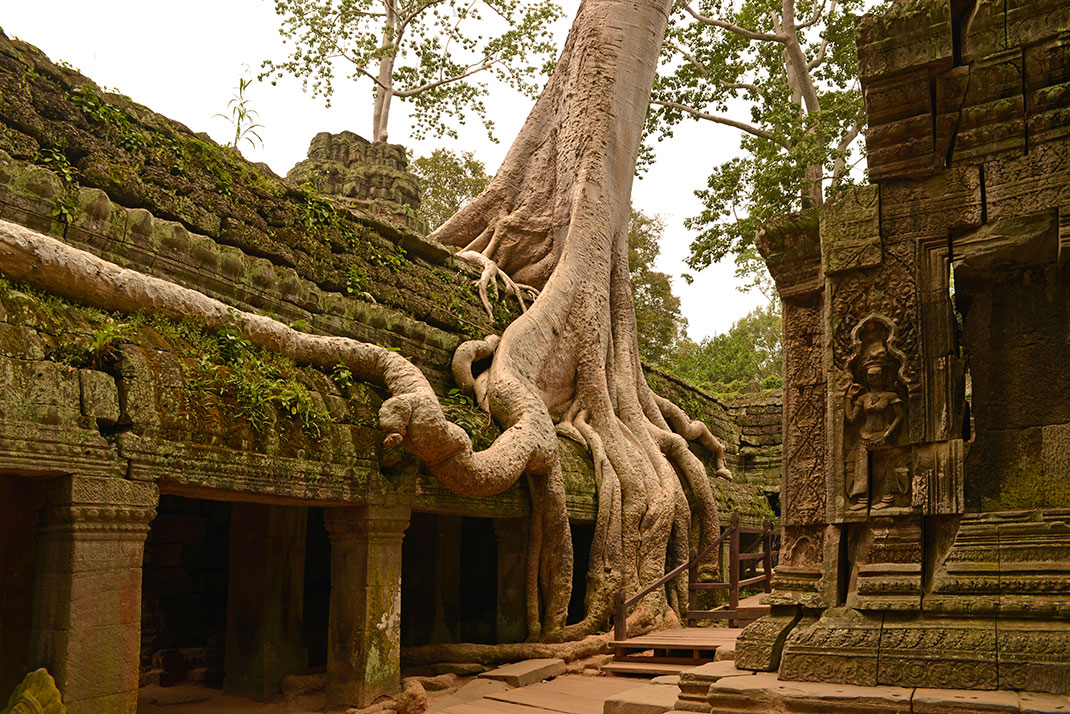 13-angkorvat-tartarin2009