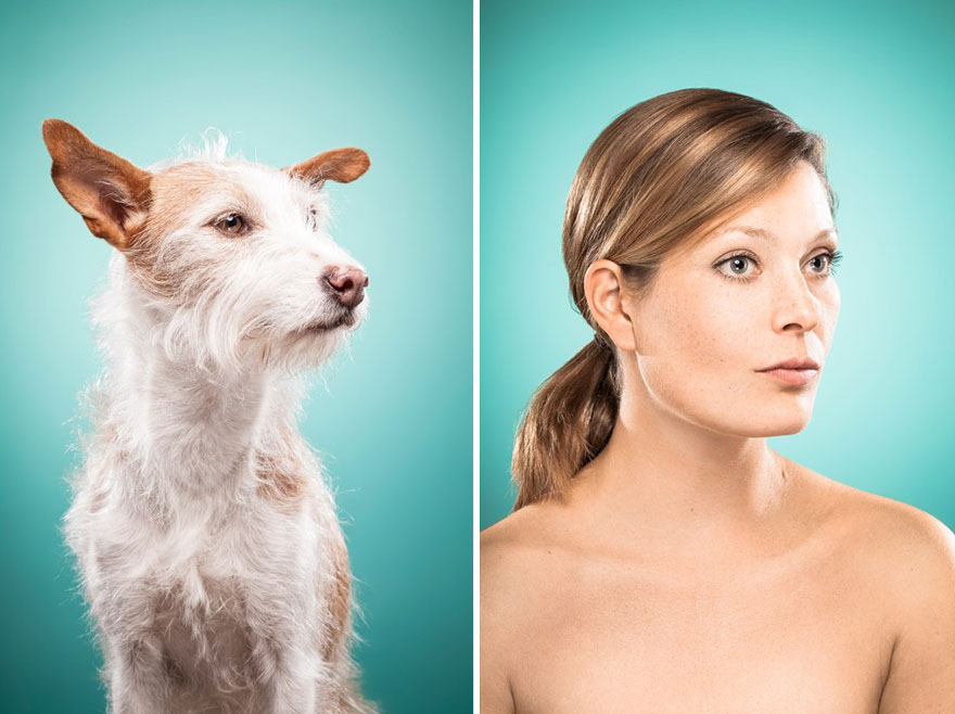 15-photo-maitre-chien