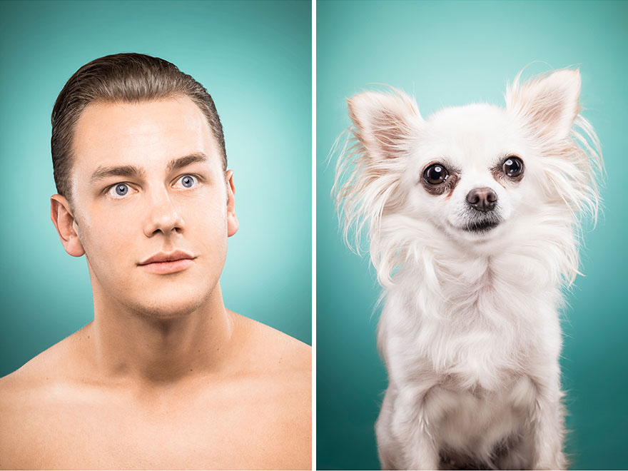 16-photo-maitre-chien