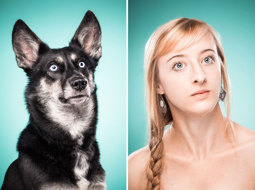 2-photo-chien-maitre
