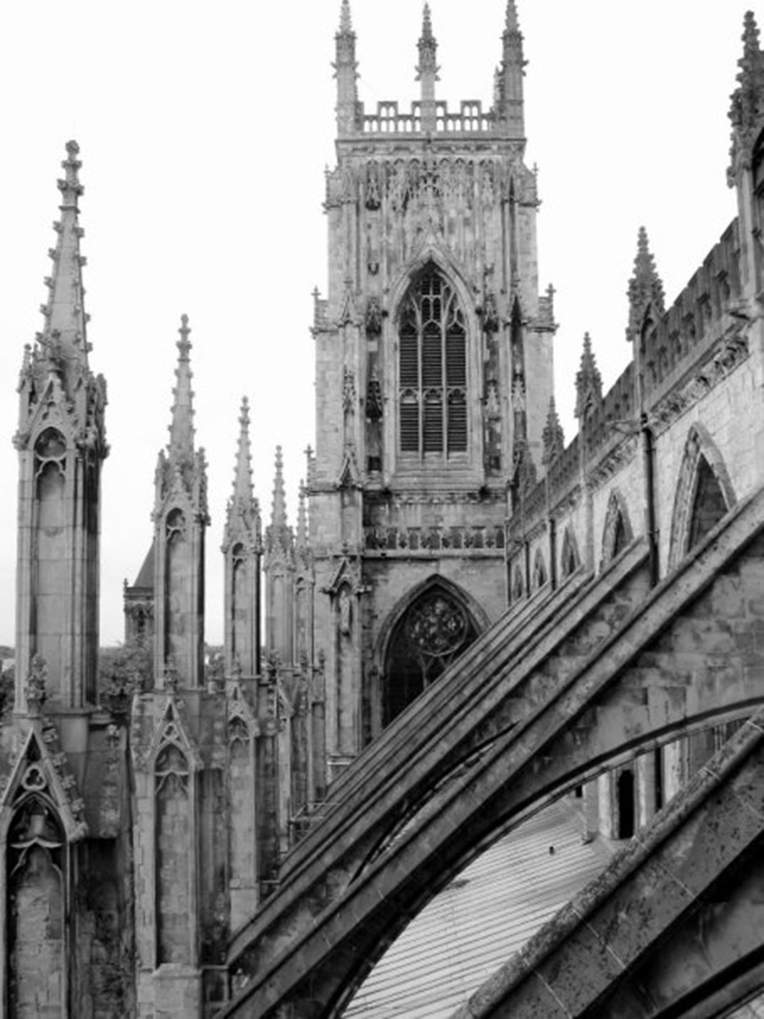 20-york-sarahager