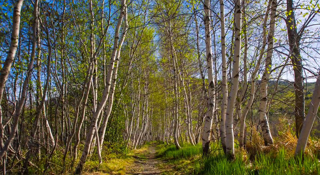 22-acadia-timelapse