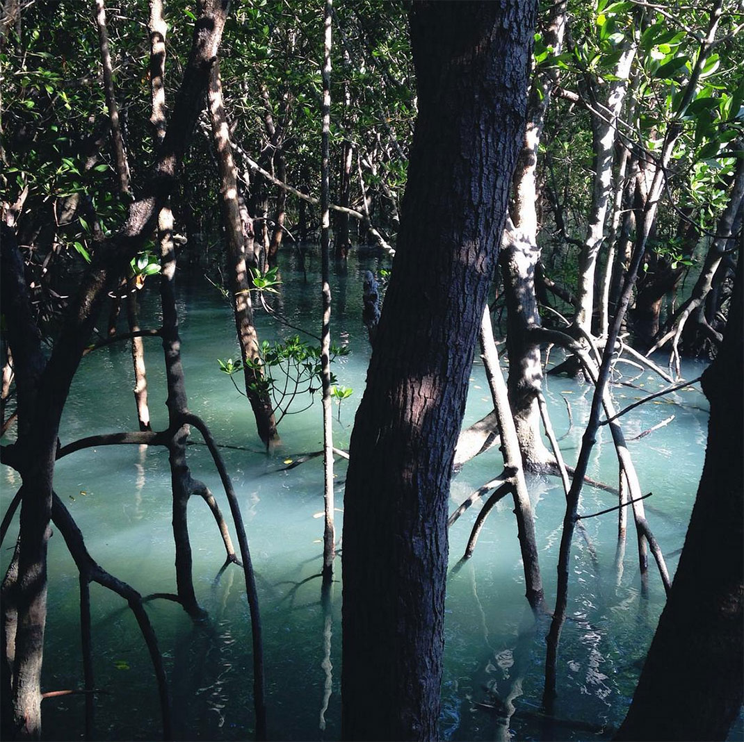 22-darwin-australie