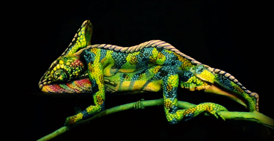 3-court-metrage-cameleon