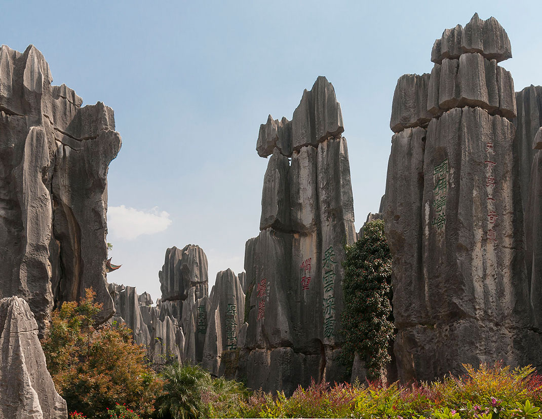 3-foret-shilin