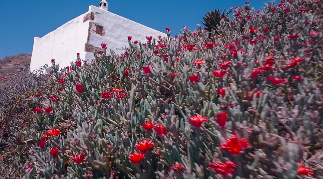 3-ile-canaries
