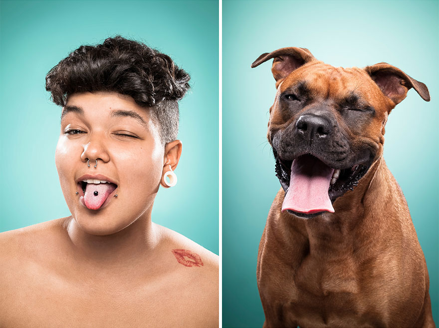 3-photo-chien-maitre