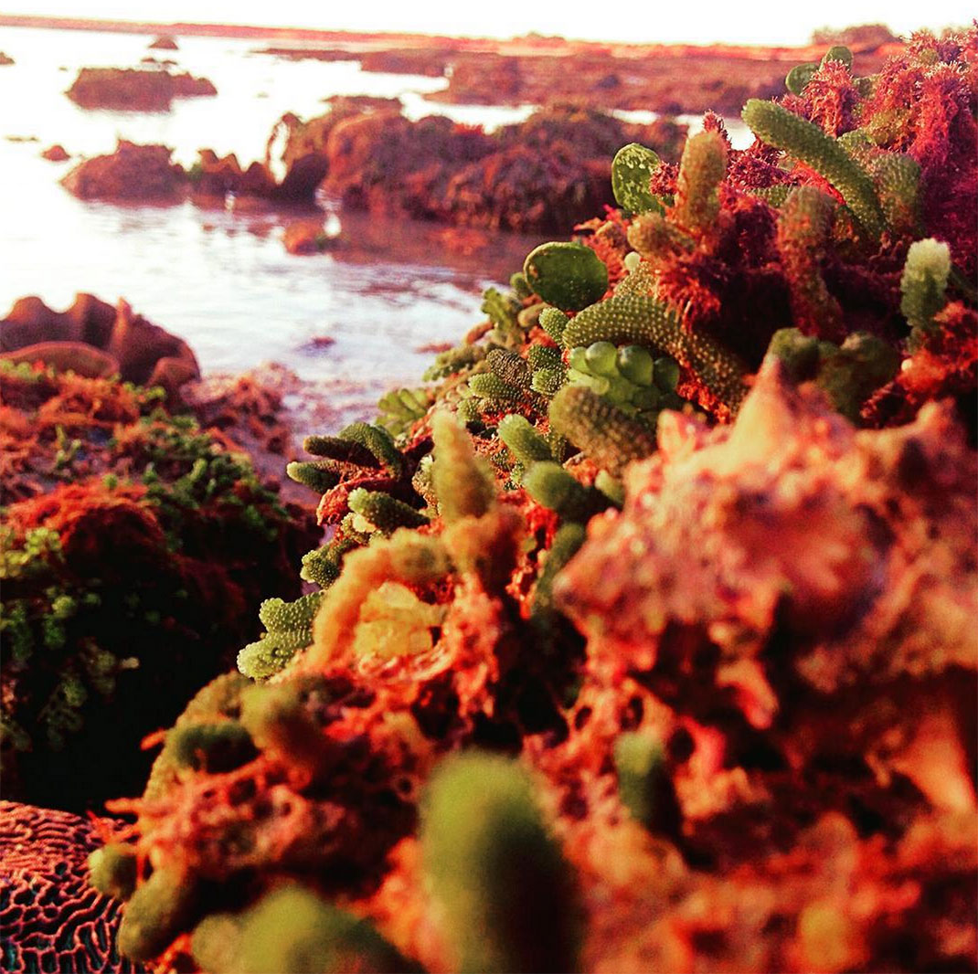 34-broome-australie