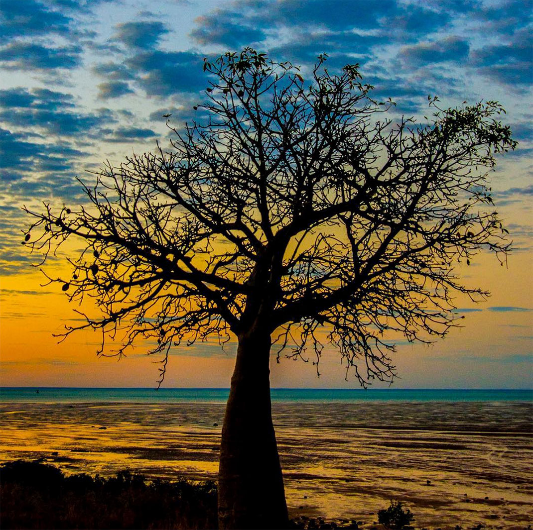 37-broome-australie