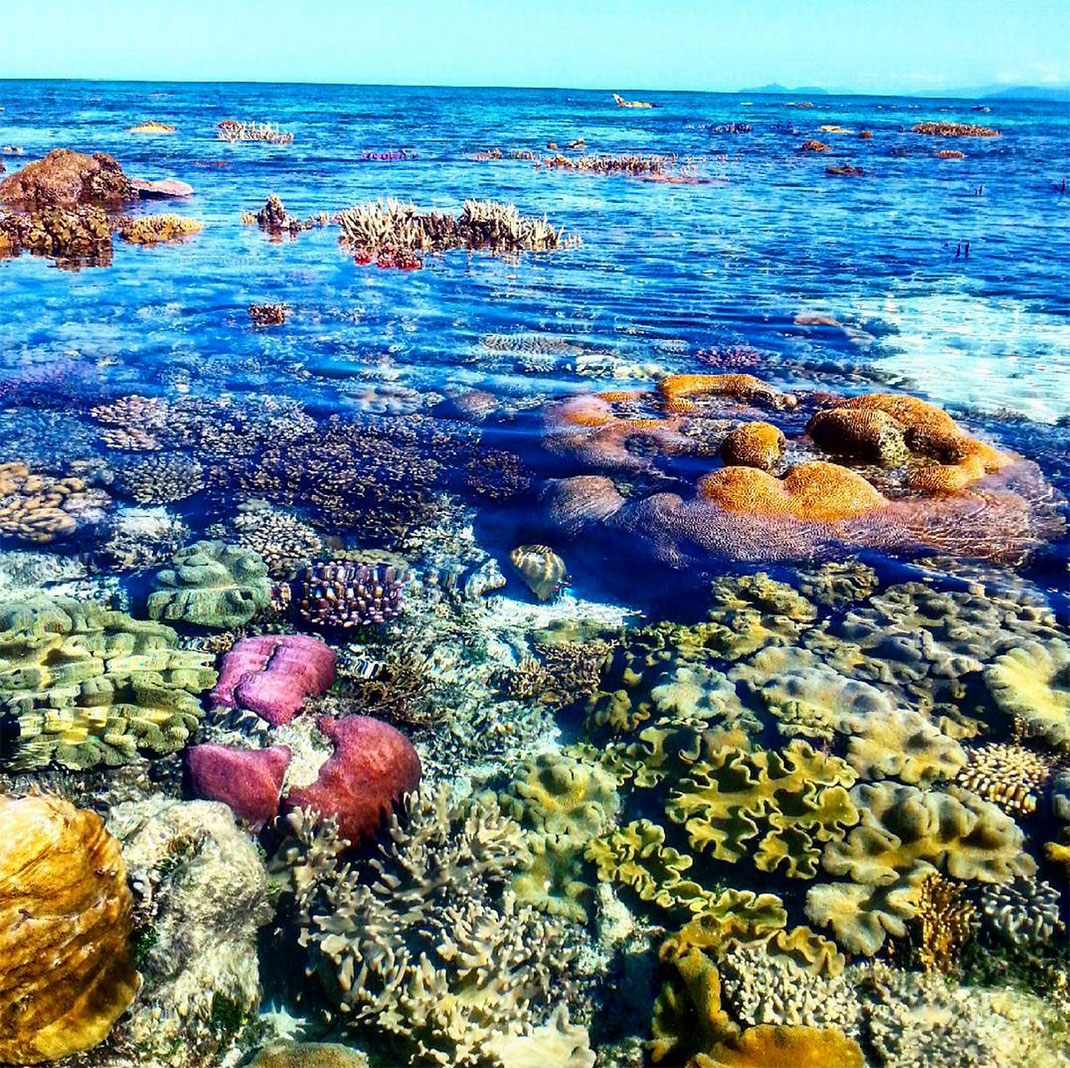 45-barriere-corail