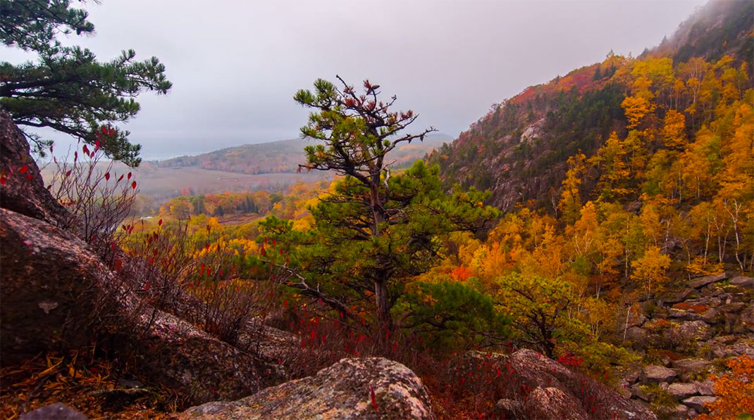 49-acadia-timelapse