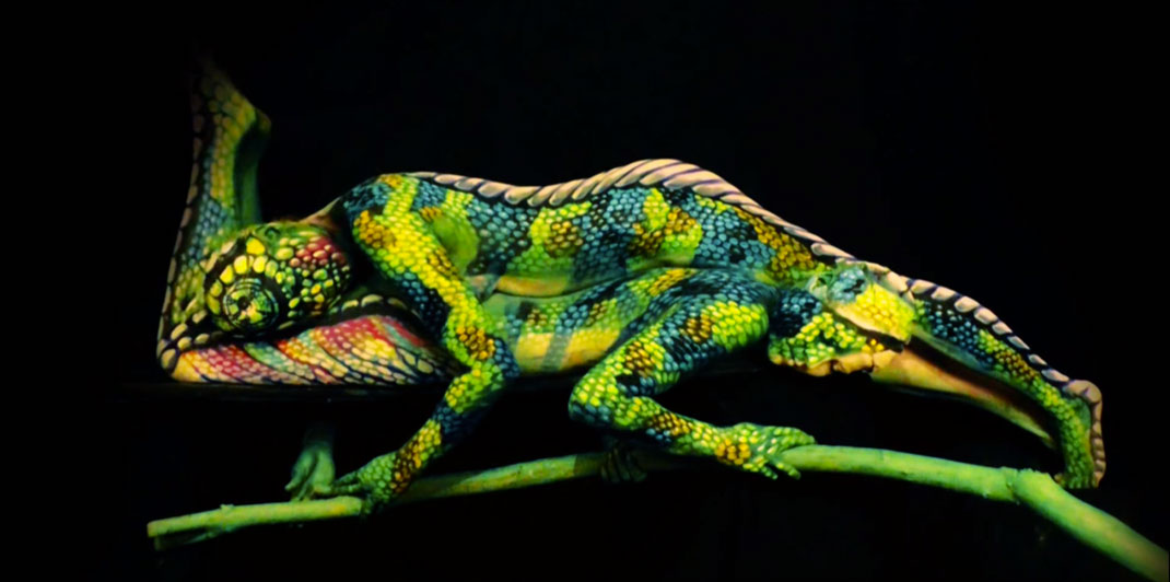5-court-metrage-cameleon