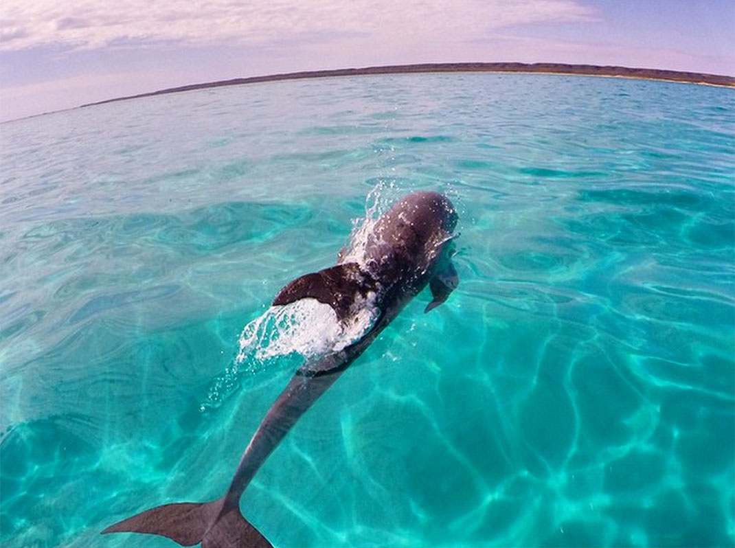 53-ningaloo-park