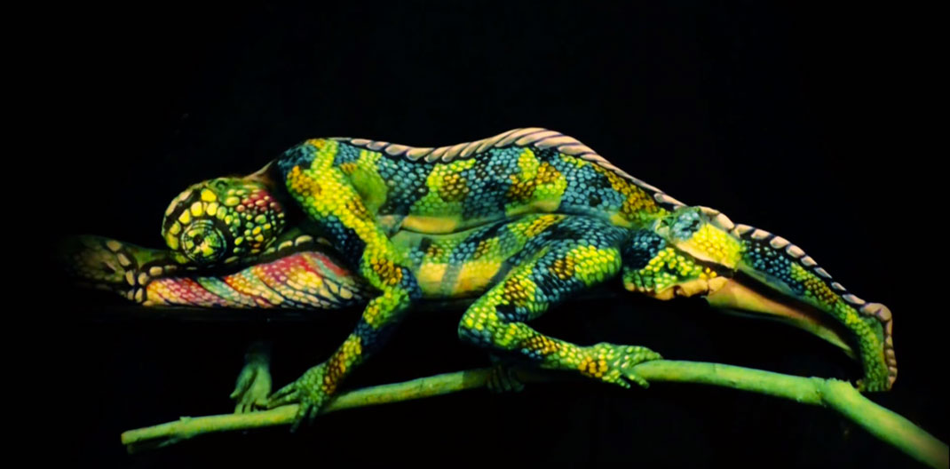 6-court-metrage-cameleon