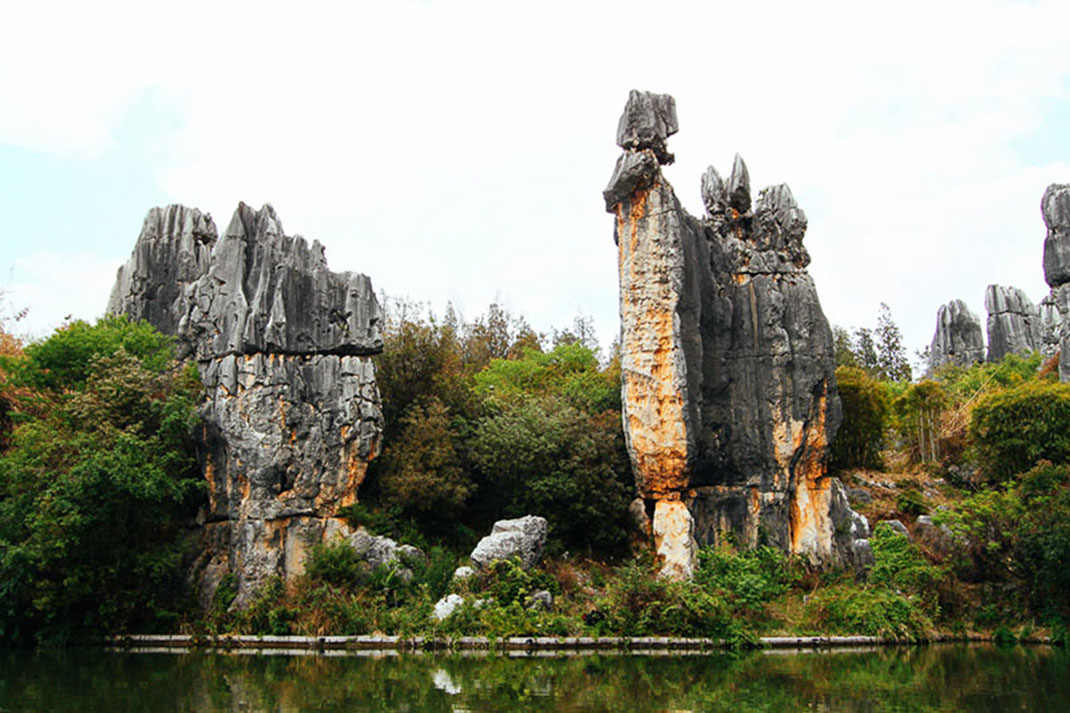7-chine-foret