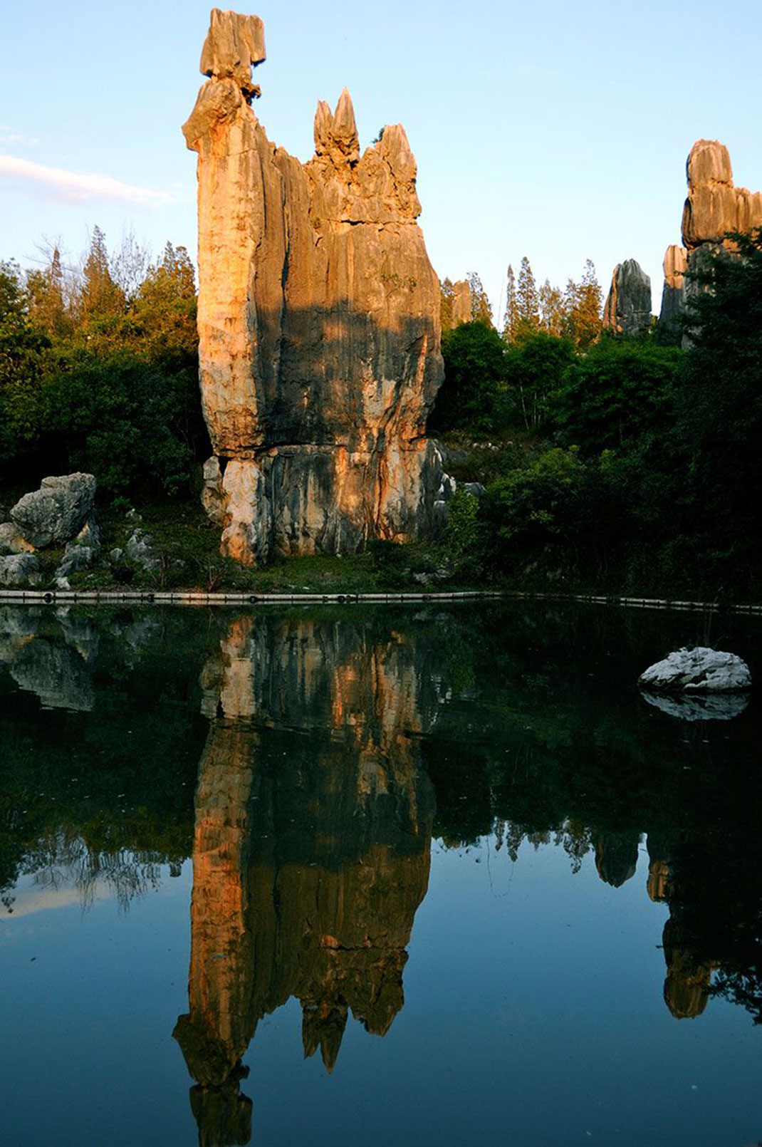 8-chine-foret