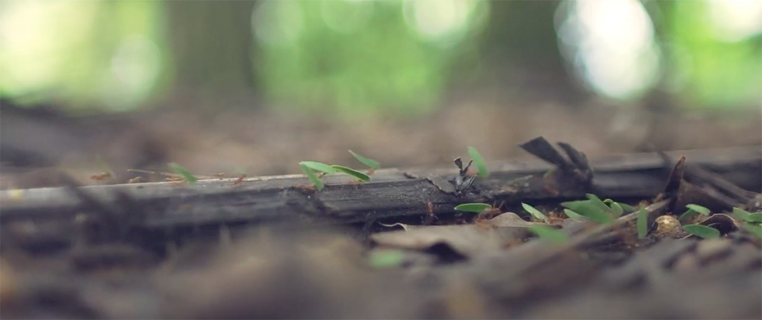 8-video-costa-rica