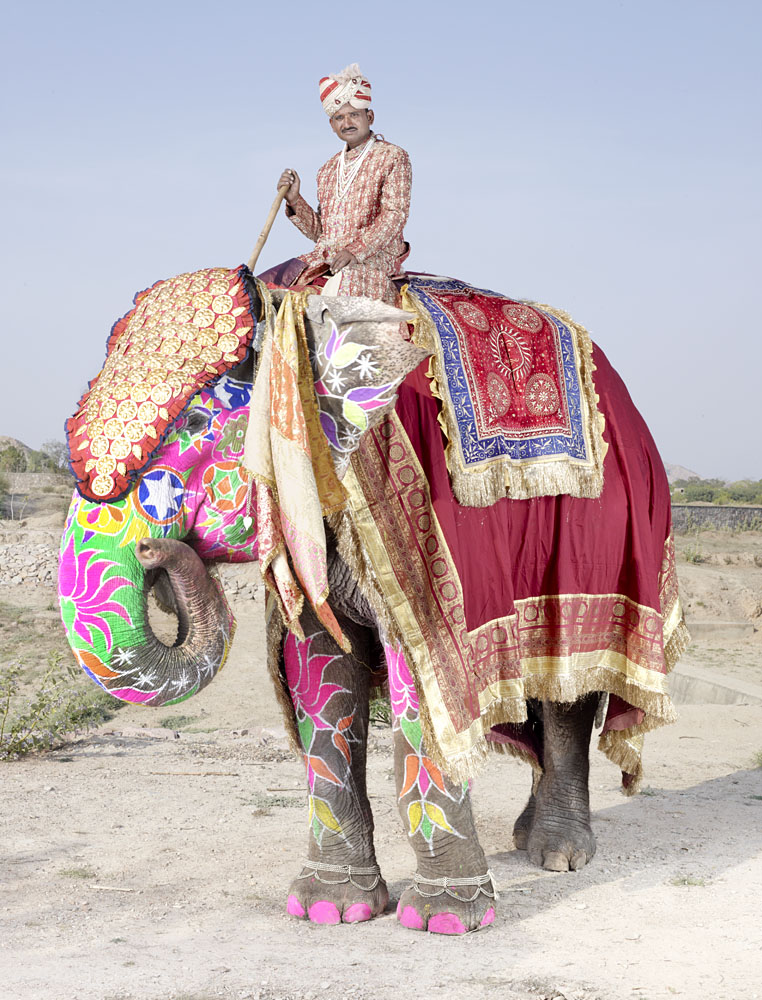 charles_freger_painted_elephant_002