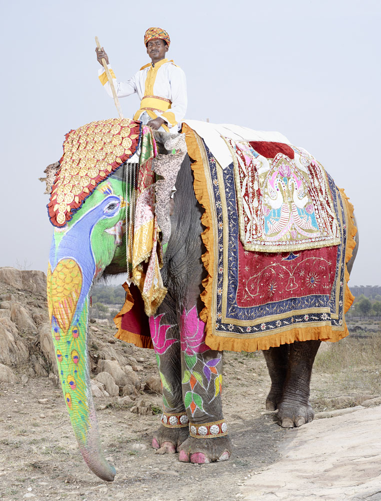 charles_freger_painted_elephant_004