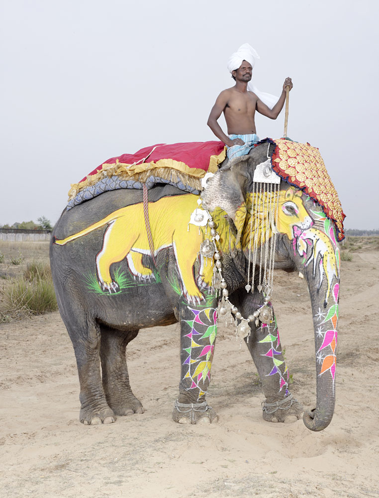 charles_freger_painted_elephant_006
