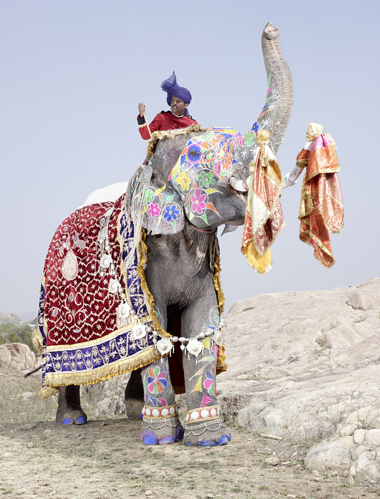 charles_freger_painted_elephant_008