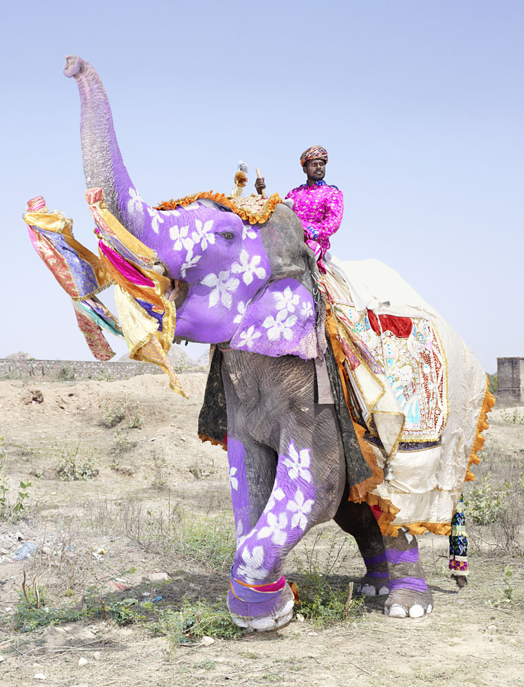 charles_freger_painted_elephant_011