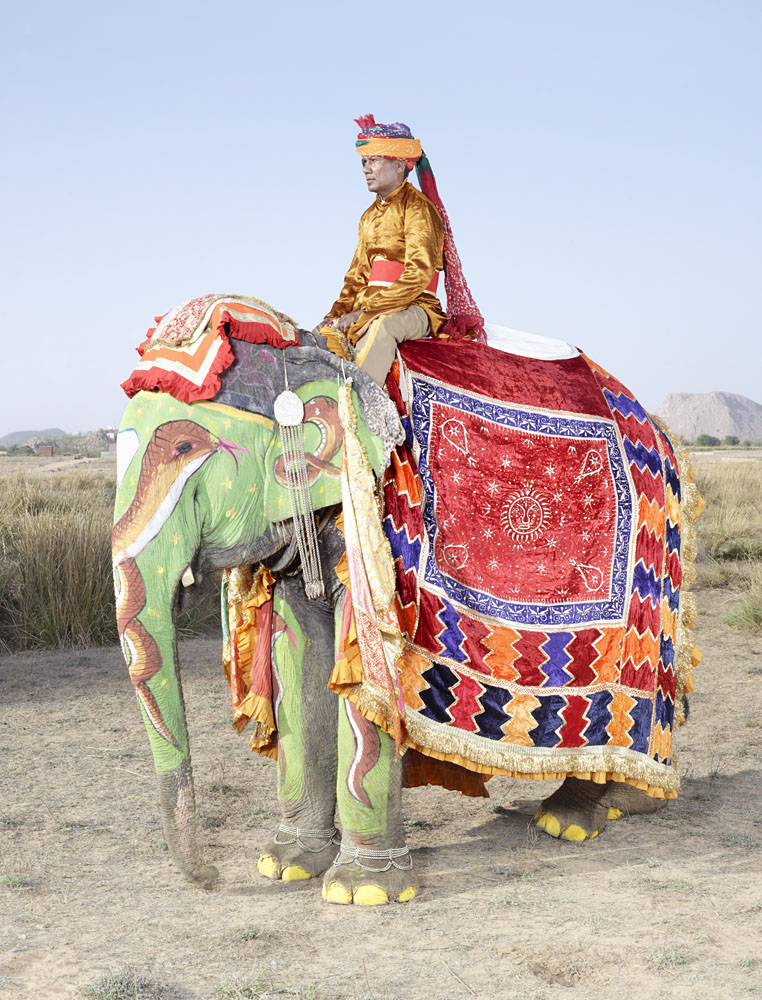 charles_freger_painted_elephant_013