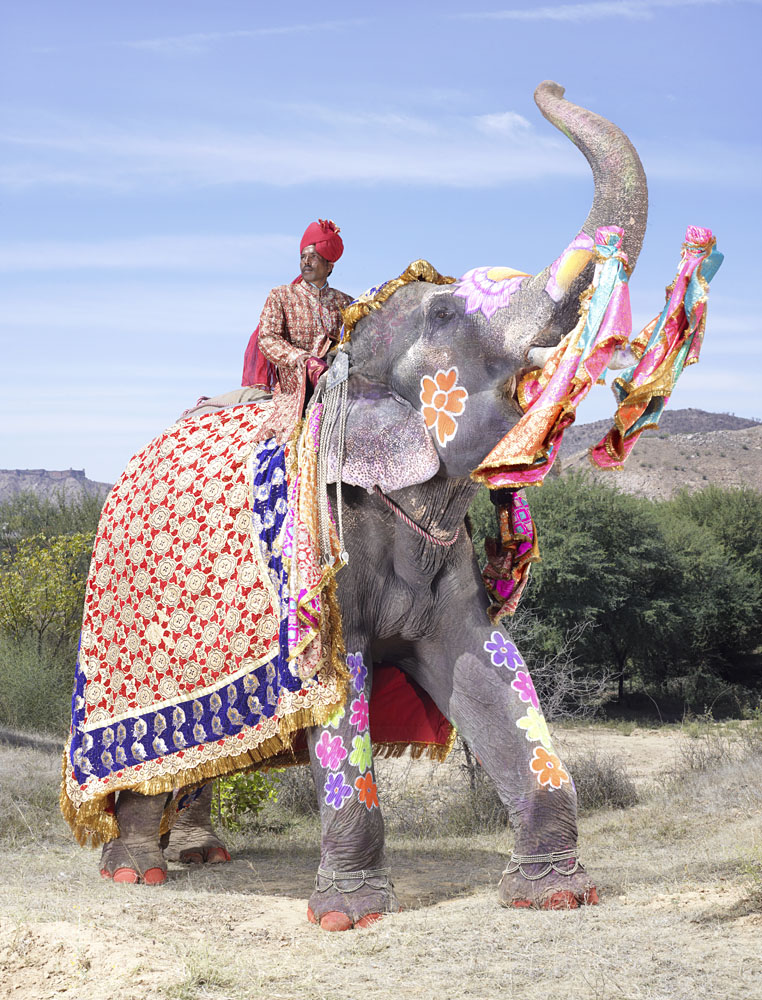 charles_freger_painted_elephant_014