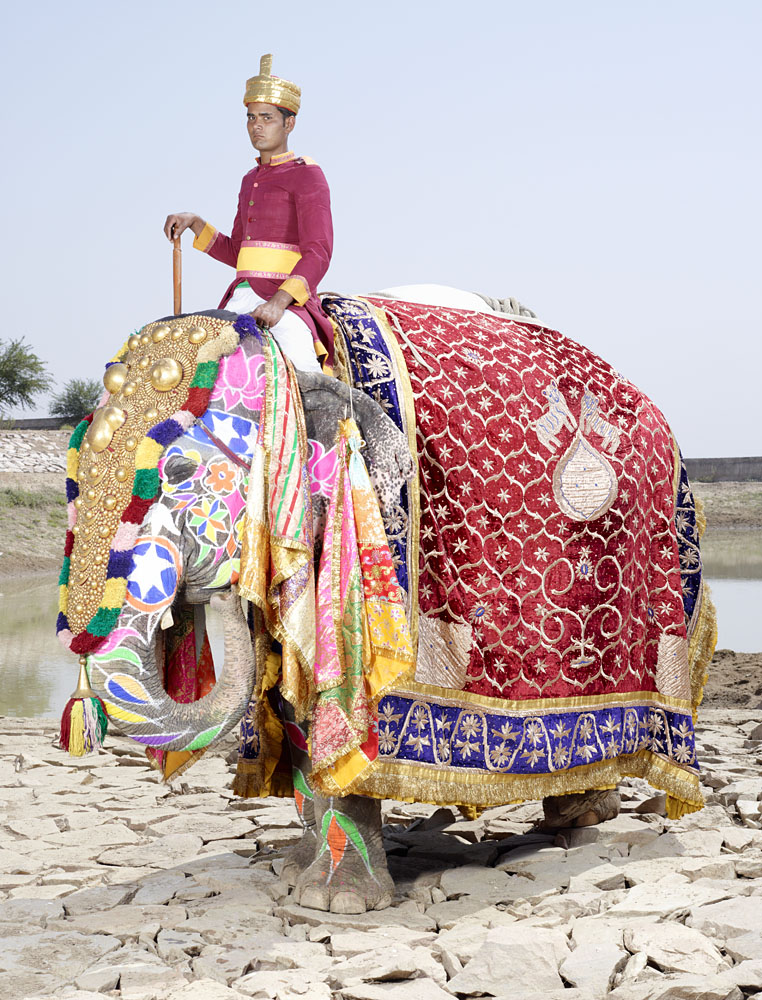 charles_freger_painted_elephant_019