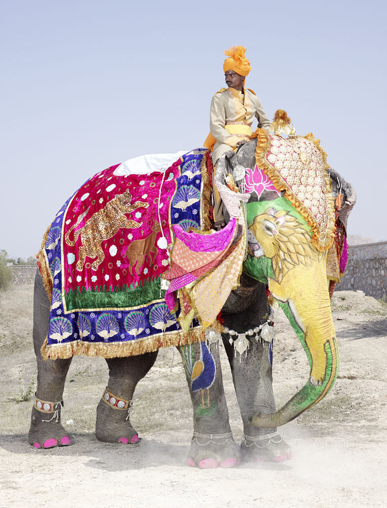 charles_freger_painted_elephant_020