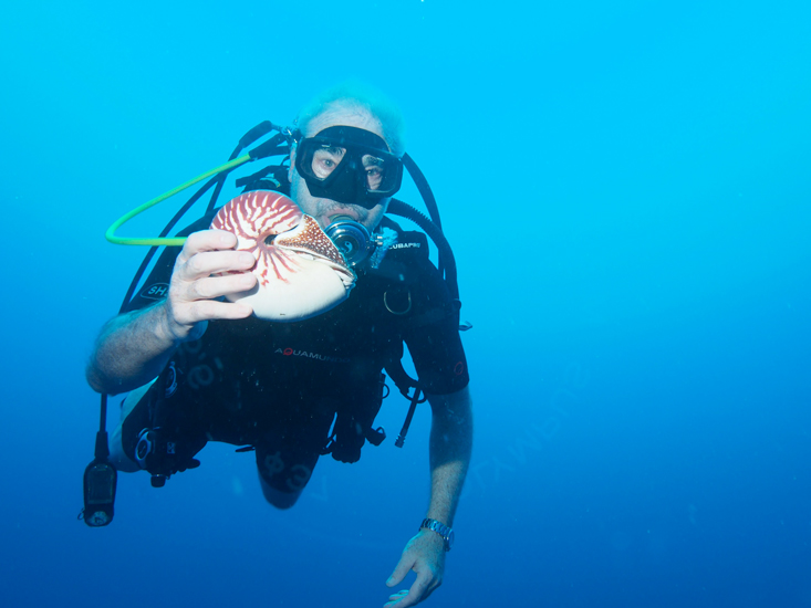 nautilus-rare-2