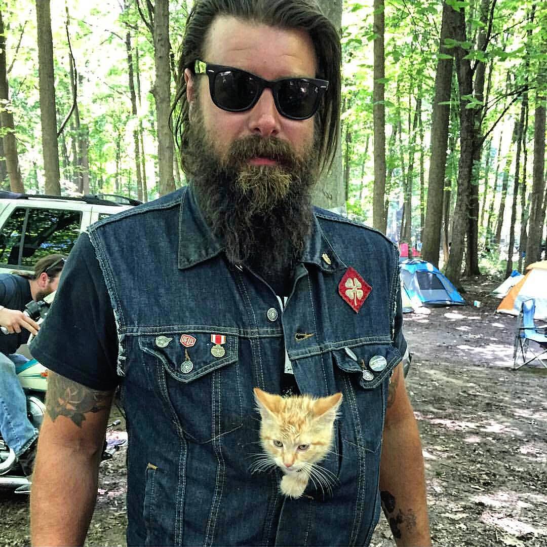 party-cat-8