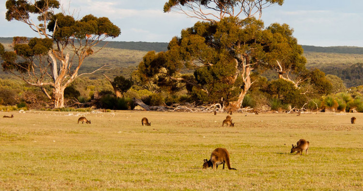 une-ile-australie4