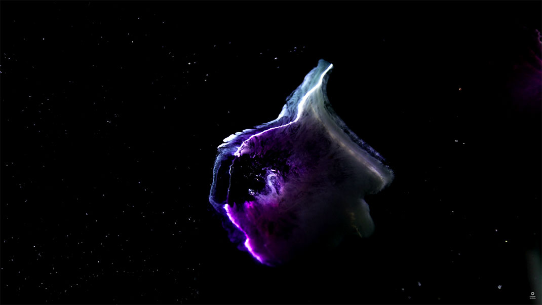 12-video-cosmos