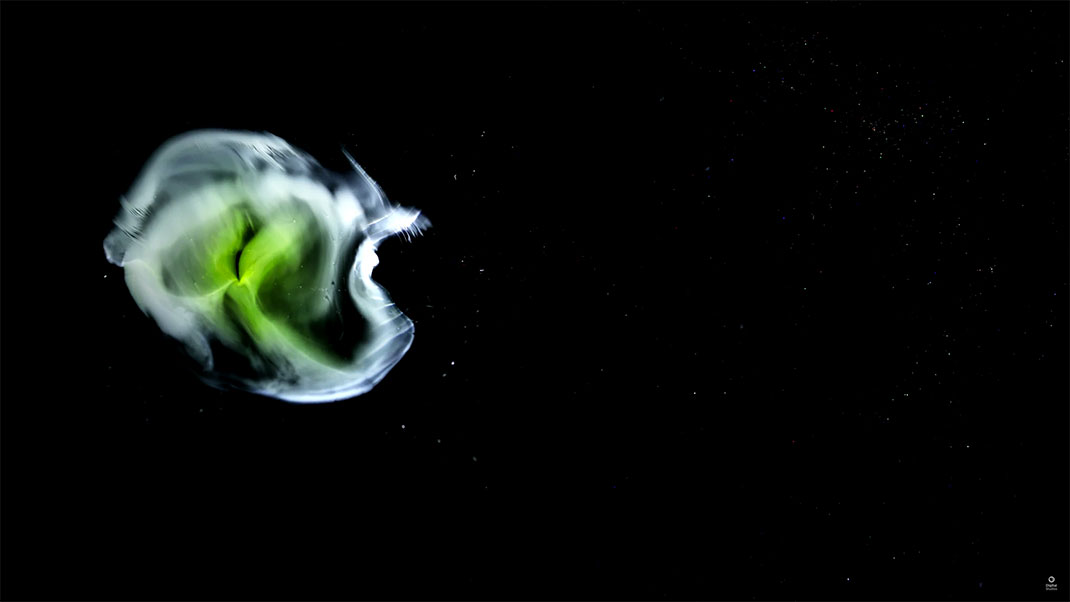 15-video-cosmos