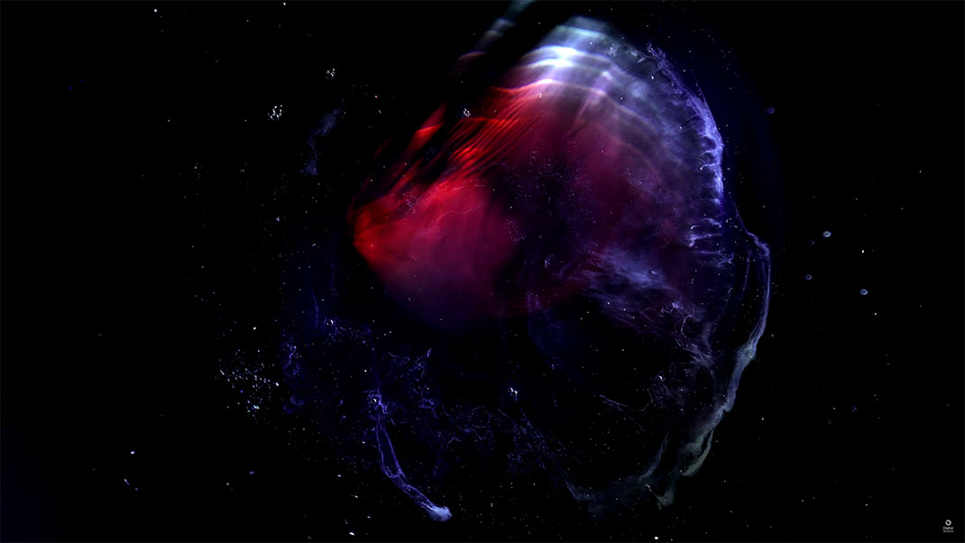 16-video-cosmos
