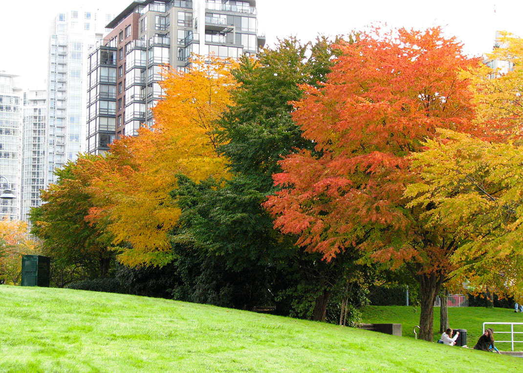 17-automne-vancouver