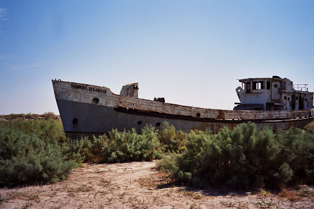 19-mer-aral