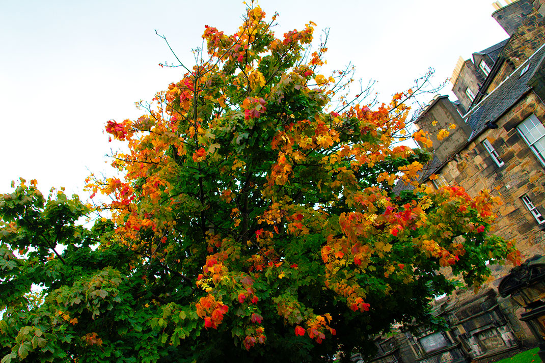 21-automne-edinbourg