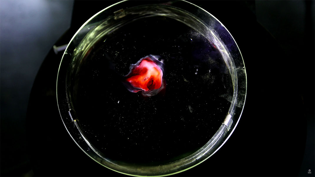 26-video-cosmos