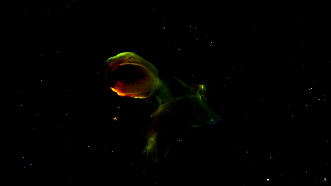 39-video-cosmos