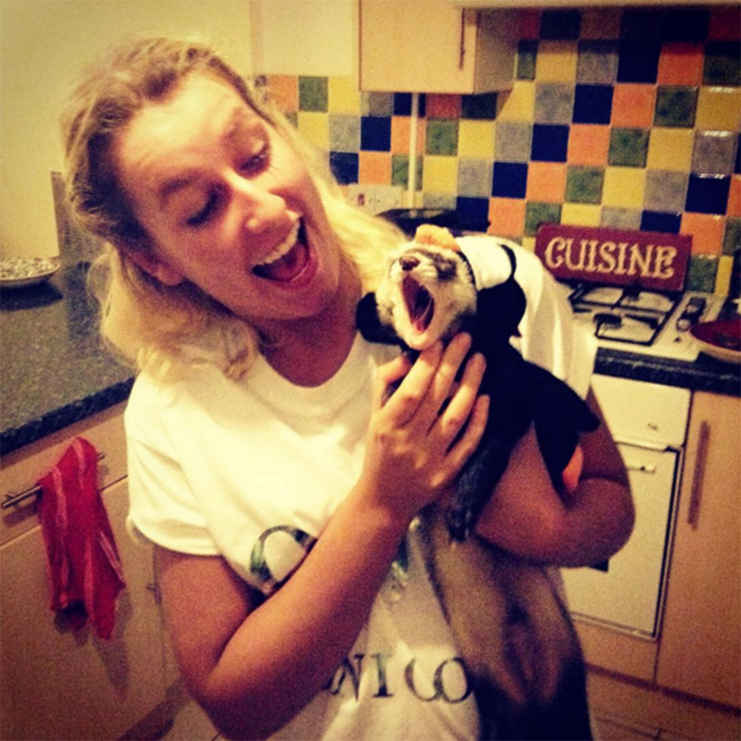 4-furet-insolite