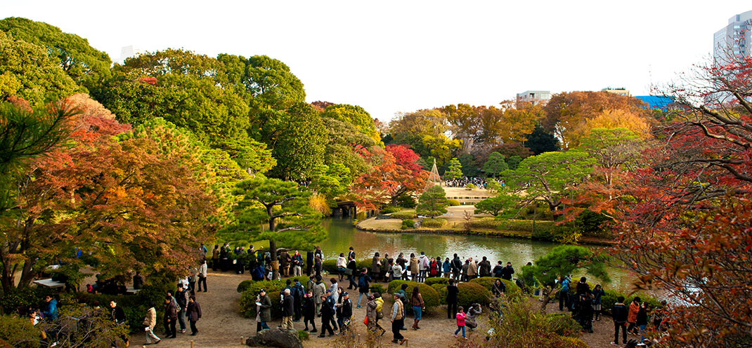 5-automne-tokyo