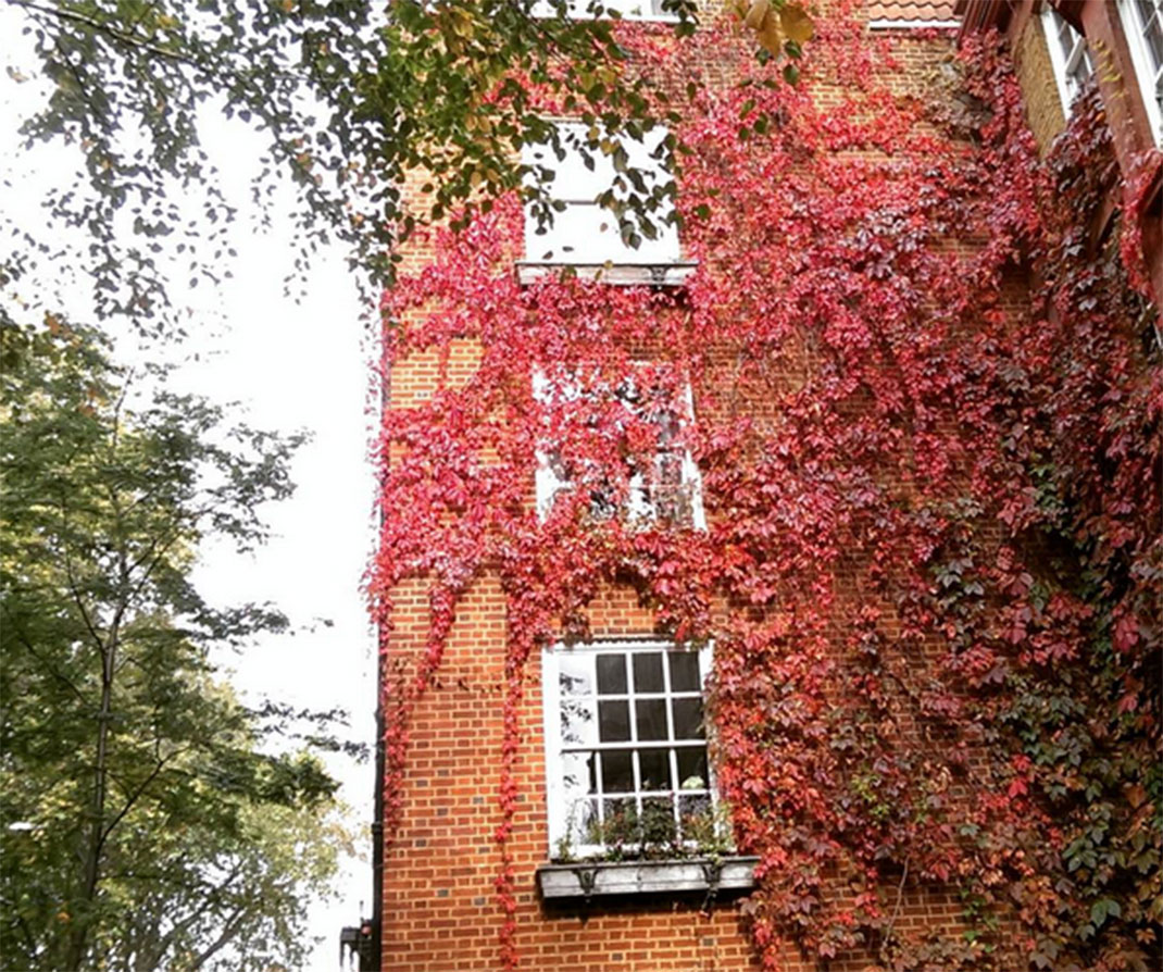 7-automne-londres
