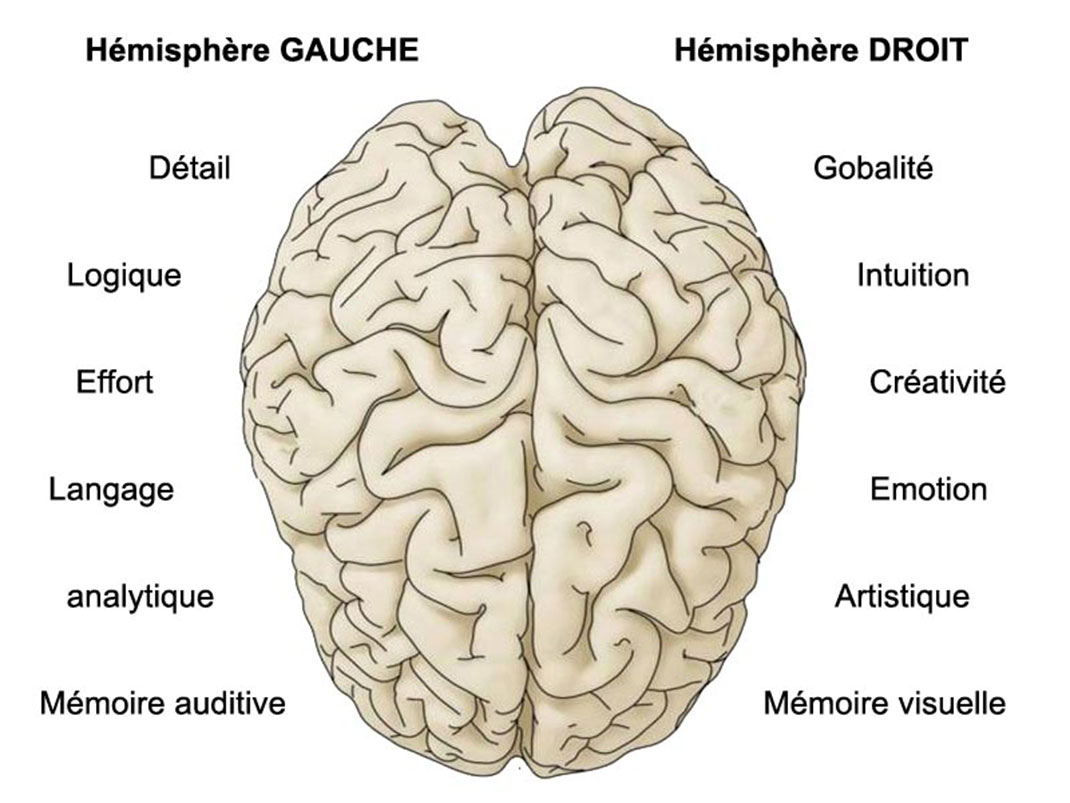 Cerveau-Musique-3