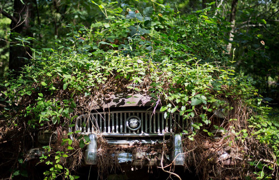 cimetière-auto-11