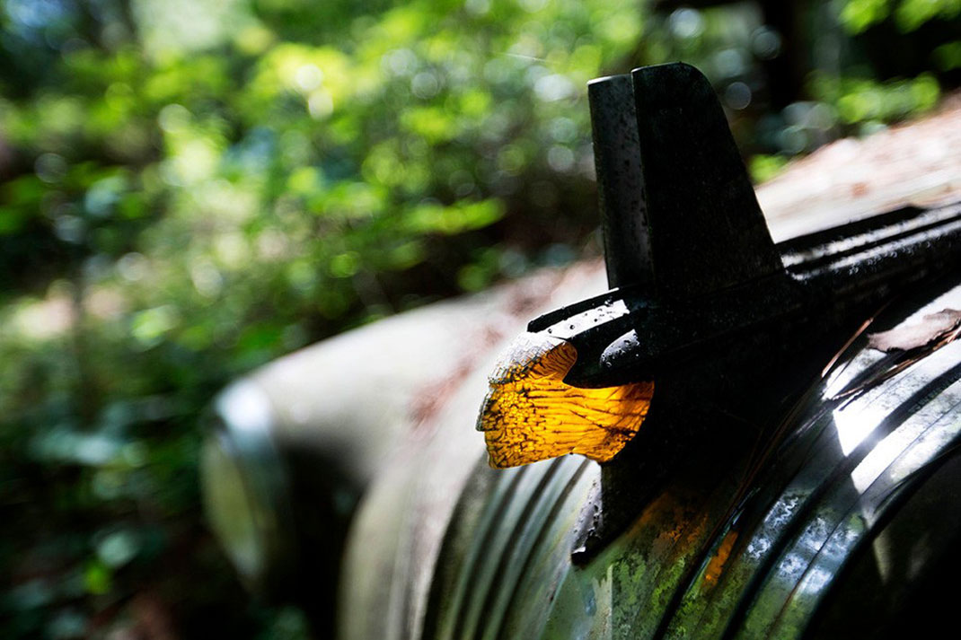cimetière-auto-6
